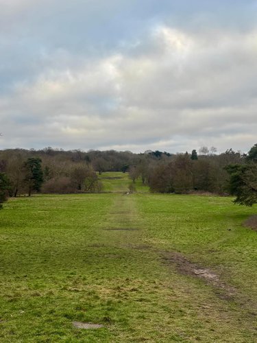Tottenham Hotspur Confirms Whitewebbs Park Plans Remain Unchanged