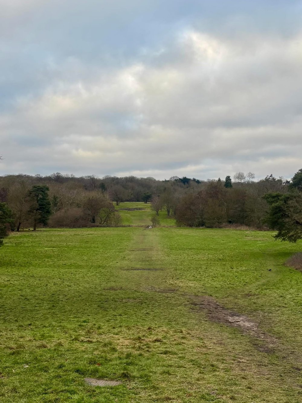 Whitewebbs