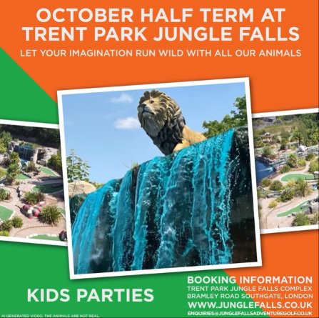 half term jungle.jpg