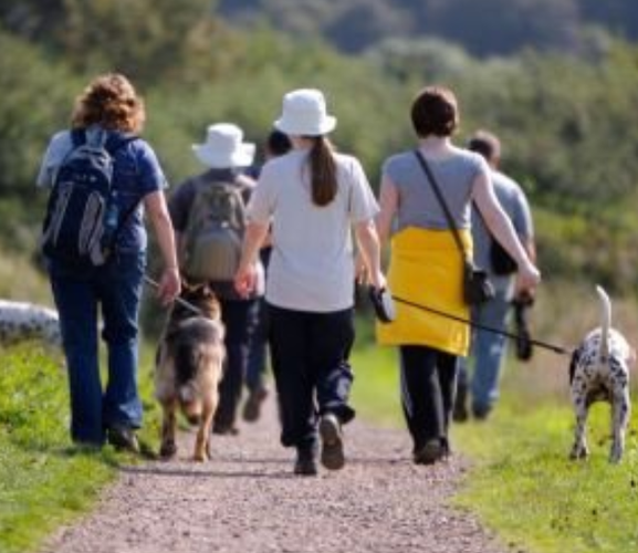 Why is walking good for you?
